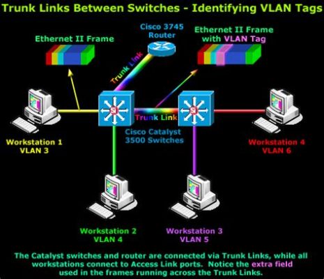 タグvlanとは、ネットワークの迷宮を解き明かす鍵