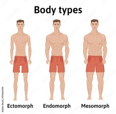 What is Mesomorph in Physical Education: Exploring the Athletic Body Type and Its Implications